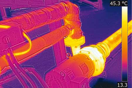 Immagini termografiche